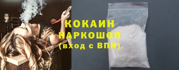 прущие грибы Балахна