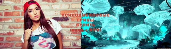 прущие грибы Балахна