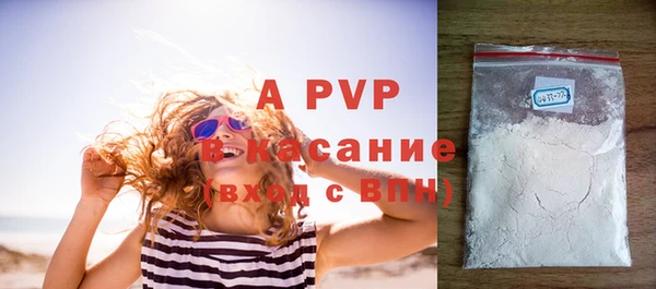 прущие грибы Балахна