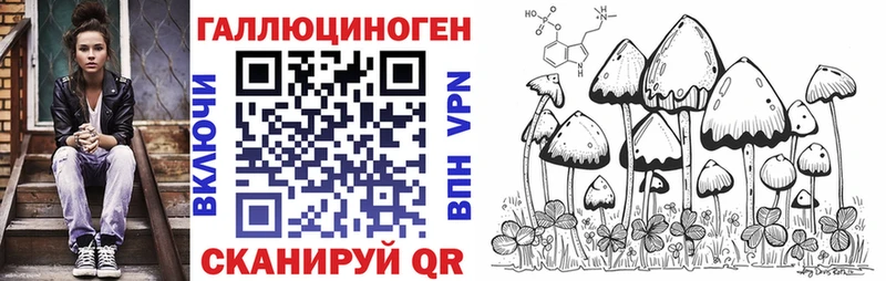 Купить  Высоковск  Псилоцибиновые грибы Psilocybe 